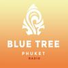 undefined BLUE TREE RADIO