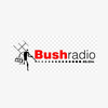 undefined Bush Radio 89.5