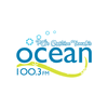 undefined CHTN Ocean 100