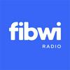 undefined fibwi radio
