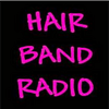 undefined Hair Band Radio