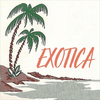 undefined exotica