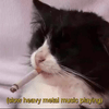 undefined Gothmetal
