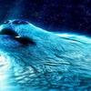 undefined Partywolf