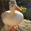 undefined Quack FM