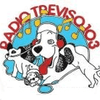 undefined radiotreviso103