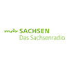 undefined MDR SACHSEN - Fußball-Audio-Livestream