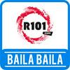 undefined R101 Baila