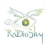 undefined RaDioSky