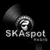 undefined SKAspot Radio 