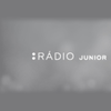 undefined SRO Radio Junior