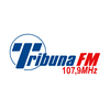 undefined Tribuna FM 107,9