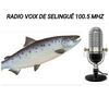 undefined RADIO VOIX SELINGUÉ FM