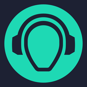 Radio Frequency Radio
