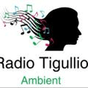 Radio radio-tigullio-ambient