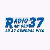 Radio Radio 37