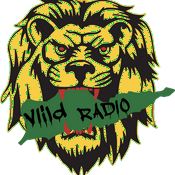 Radio ViiLD RADIO