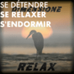 Listen to Se détendre, se relaxer, s'endormir avec Radio Dimensione Relax in the App