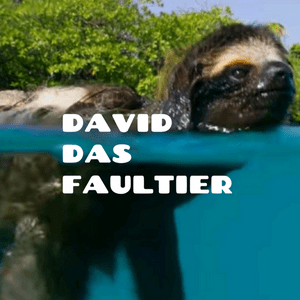 David Das Faultier