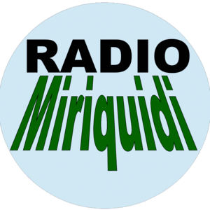 Miriquidi
