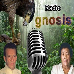 Listen to Radio Gnosis in the App