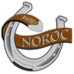 Listen to Radio Noroc in the App