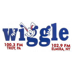 Listen to WHGL-FM - Wiggle 100.3 in the App