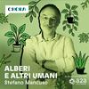 undefined Alberi e altri umani