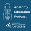 undefined Anatomy Education Podcast