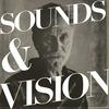 undefined Andrew Loog Oldham's Sounds and Vision Podchat