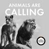 undefined Animals Are Calling