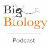 undefined Big Biology