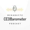 undefined Megabuyte CEOBarometer podcast with Ian Spence