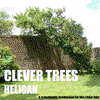 undefined Clever Trees