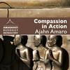 undefined Compassion in Action - Meditation - by Ajahn Amaro