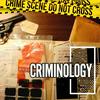 undefined Criminology