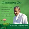 undefined Cultivating Joy - Godwin Samararatne