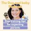 undefined Dog and Baby Podcast: Dog training tips for expecting parents