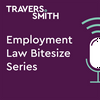undefined Employment Law Bitesize Series