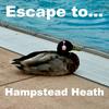 undefined Escape to Hampstead Heath