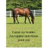 undefined Farm To Stable: An Equine Nutrition Podcast