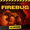 undefined Firebug
