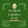 undefined Flower Farming in New Zealand