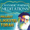 undefined Chassidic Parsha Meditations