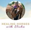 undefined Healing Horses with Elisha