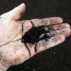 undefined How Do You Benefit From Composting?