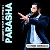 undefined Insights from the Parsha (Weekly Torah Portion) with Rabbi Rabbani