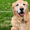 undefined "It's Not Just One Thing .... That Will Help Your Dog Feel & Move Better" by PhysioMyDog