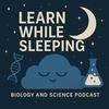 undefined Learn While Sleeping