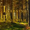 undefined Learning Paganism